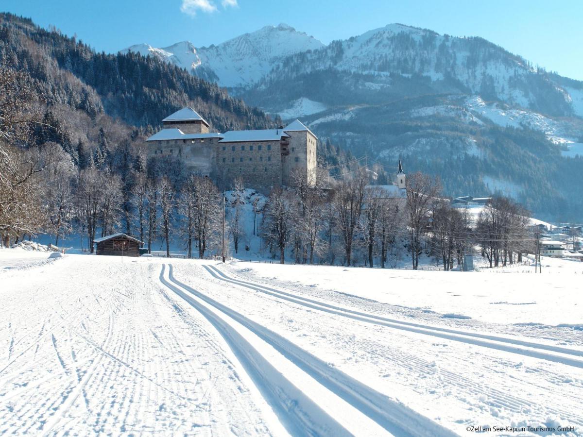Apartment Haus Grani By Interhome Zell am See Ngoại thất bức ảnh